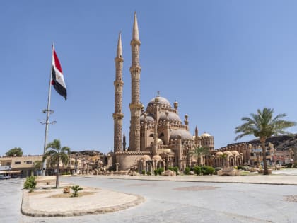 У жителей Египта выявлены симптомы неустановленного заболевания