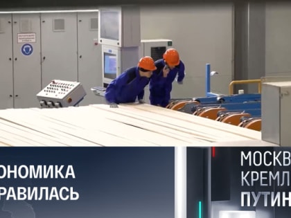 Непростая задача: как преодолеть зависимость в лесной промышленности