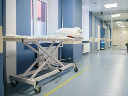 Новые инициативы в области экологической безопасности