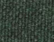 Spruce color swatch