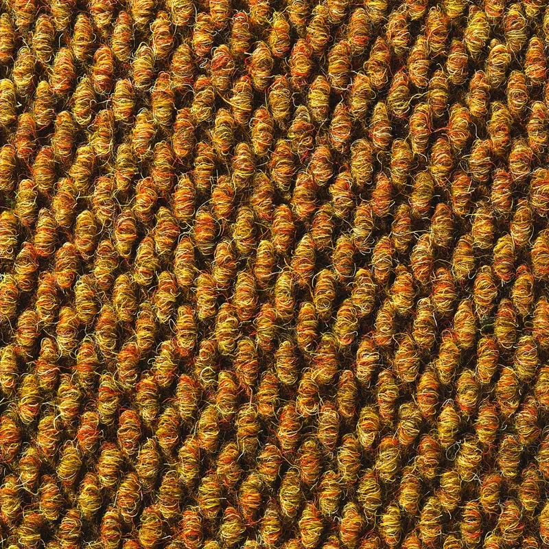 Maple color swatch