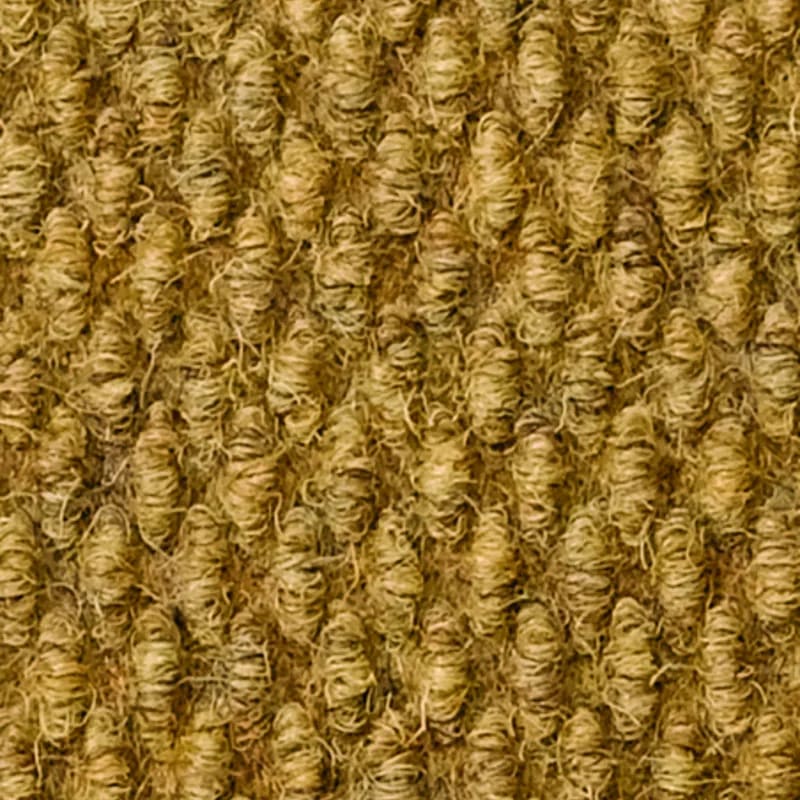 Coco color swatch