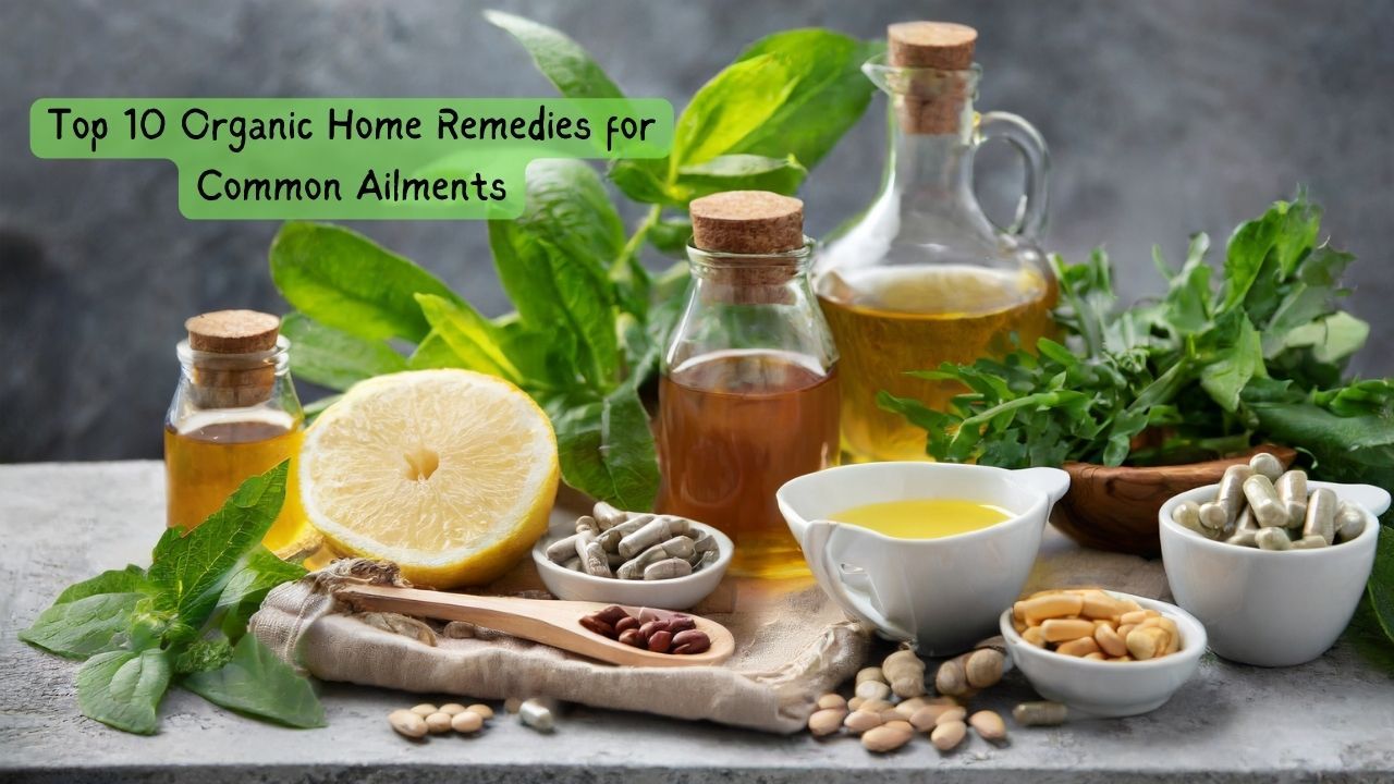 Top 10 Organic Home Remedies for Common Ailments