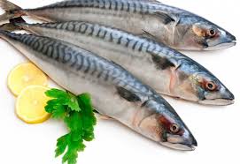 Mackerel (Titus fish)