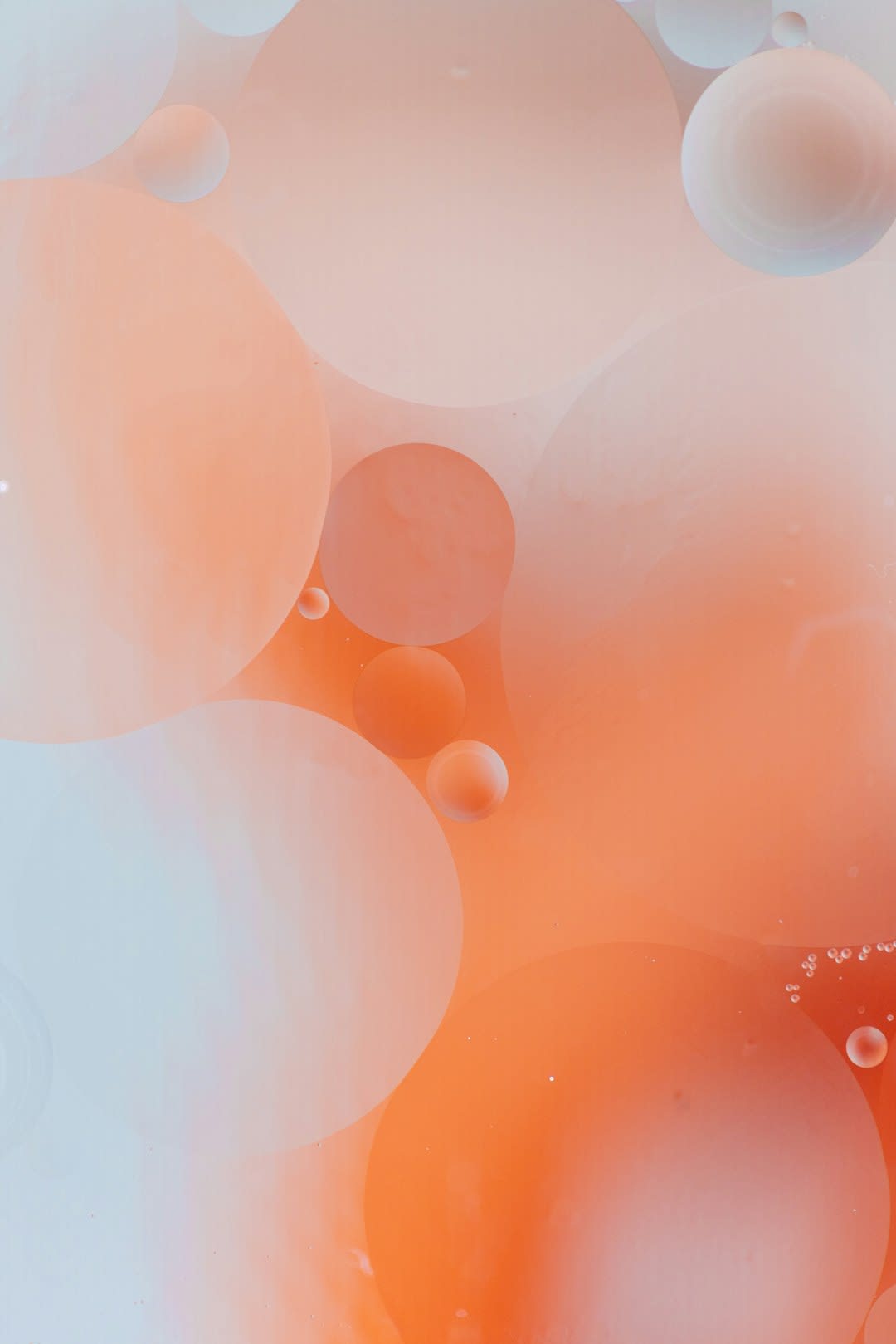 sl