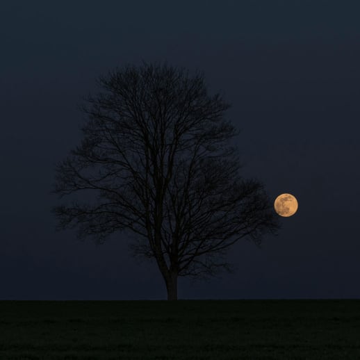 Horoskop vom 19. Oktober