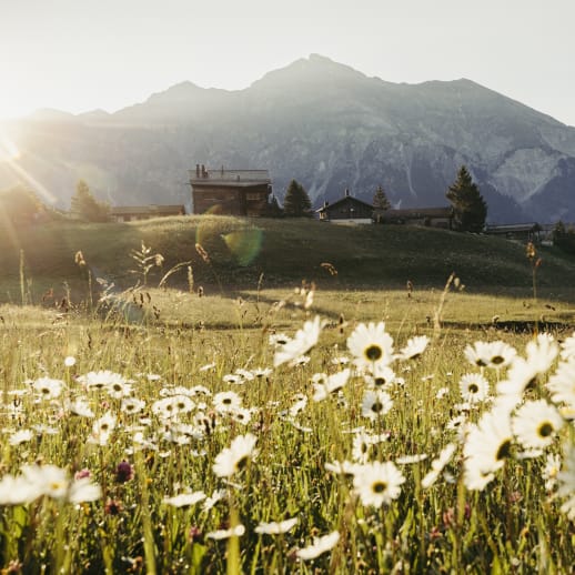 Frühling auf dem Land: 5 Hotels im Modern-Farmhouse-Stil