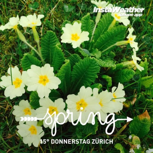 Instaweather: App der Woche