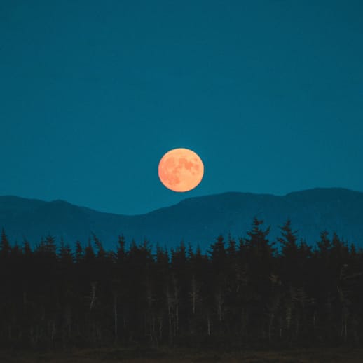 Vollmond in den Zwillingen: berühmte letzte Worte