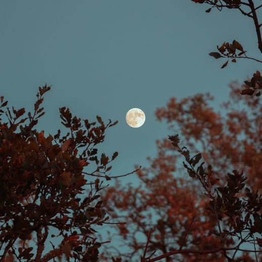 Vollmond im Steinbock: Auf zu neuen Ufern