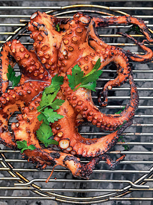 Grill-Rezept: Oktopus