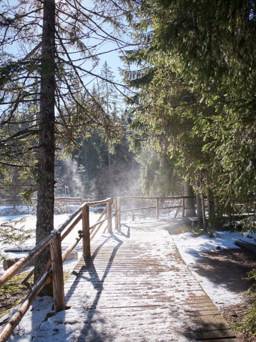 Wildes Wintermärchen im Jura