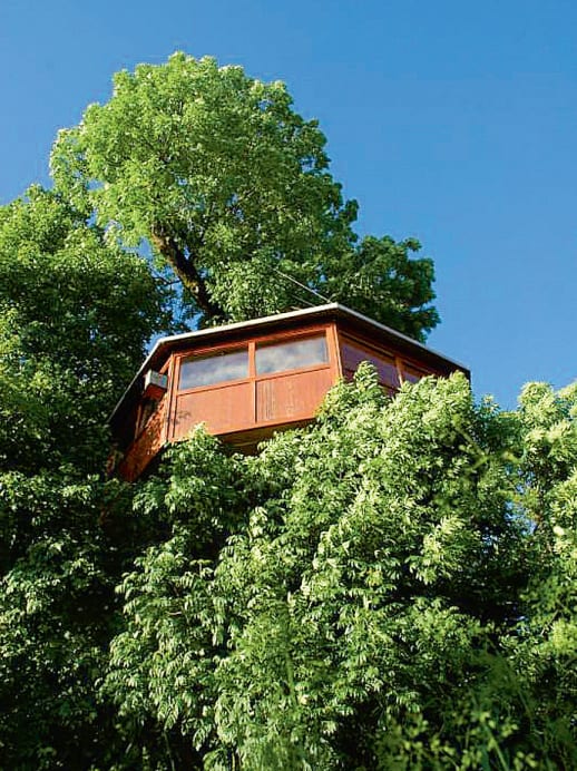 Übernachten im Baumhaus