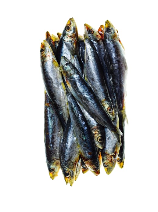 Die Sardine: Kleiner Fisch ganz gross