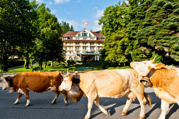 Luxus ohne Bluff: 3 Tage Erholung im Hotel «Grand Bellevue» in Gstaad