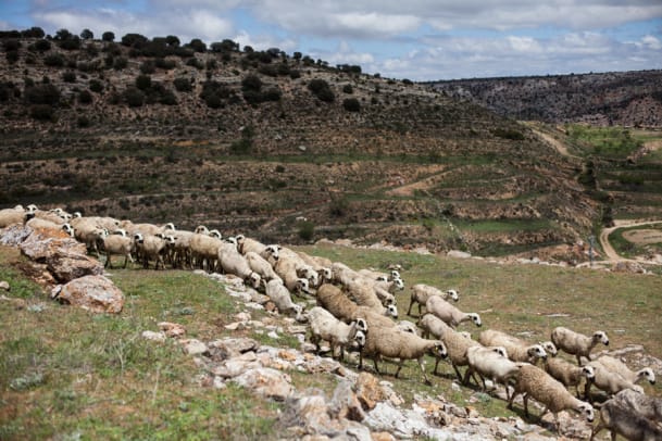 Tipps für die Wander-Reise im spanischen Maestrazgo