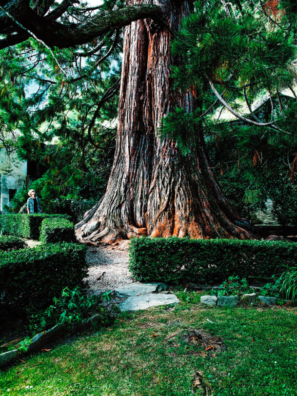 Die schönsten Parkanlagen und öffentlichen Gärten der Schweiz Annabelle