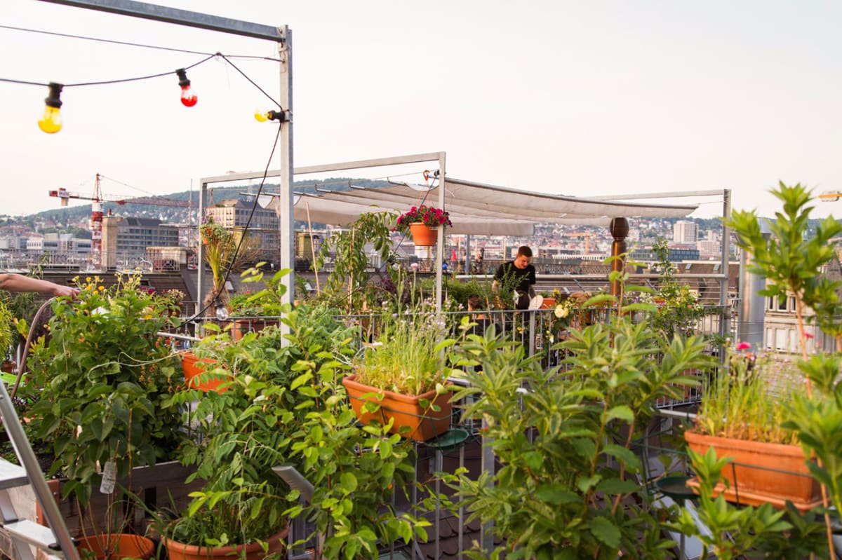 Im grünen Bereich - Annabelle