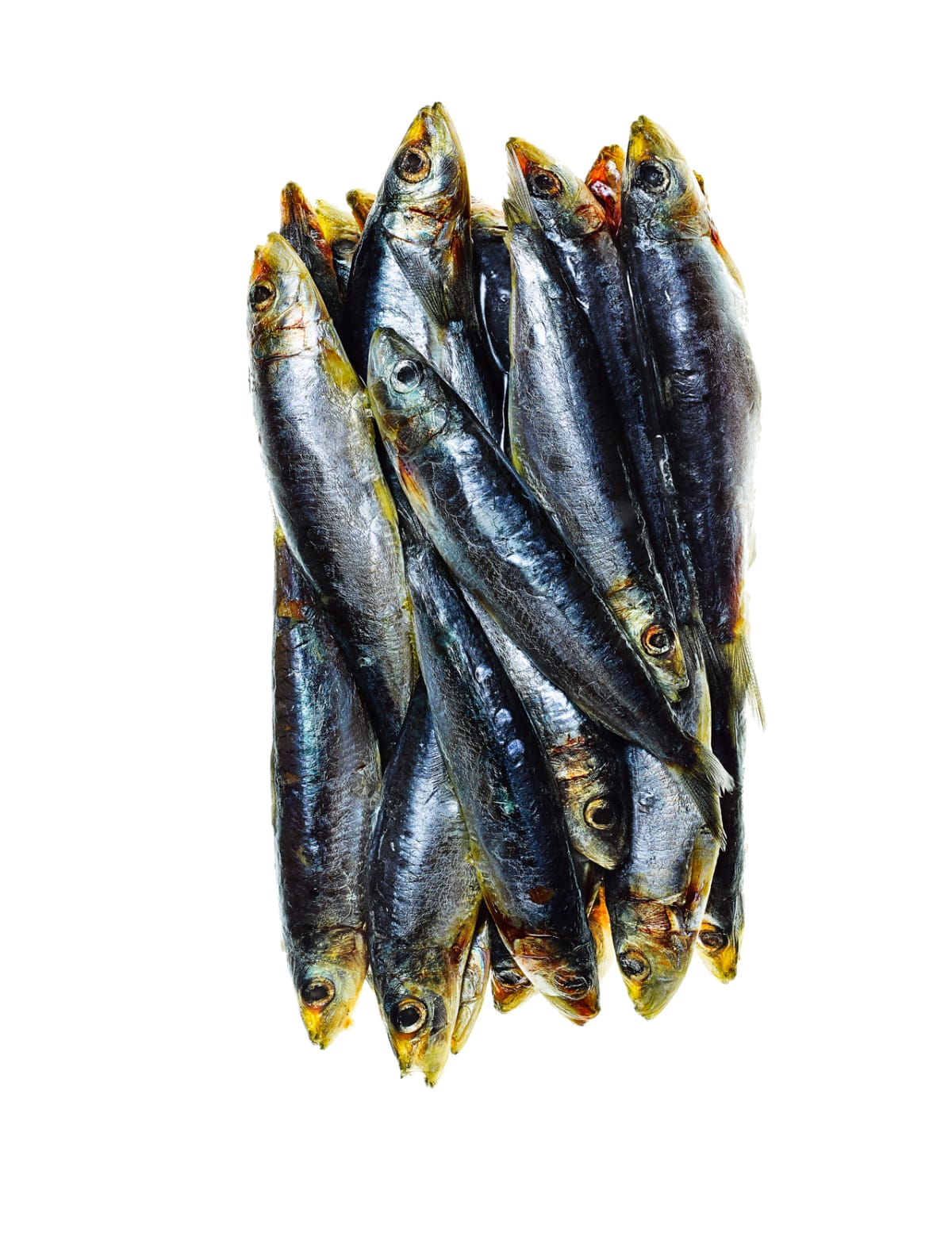 Die Sardine Kleiner Fisch ganz gross Annabelle