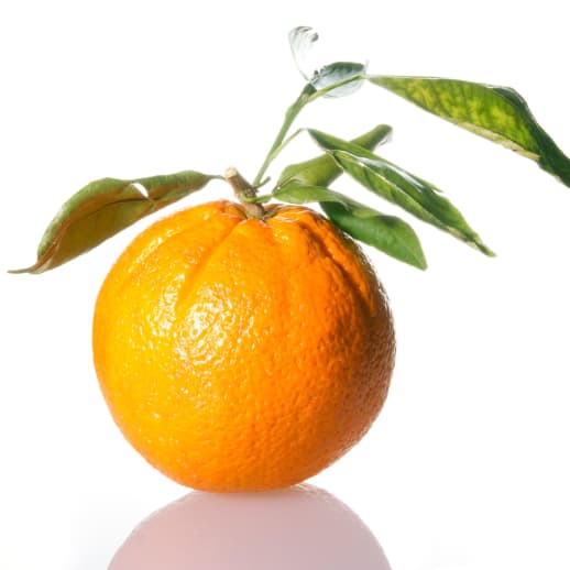 Die besten Tipps und Produkte gegen Cellulite