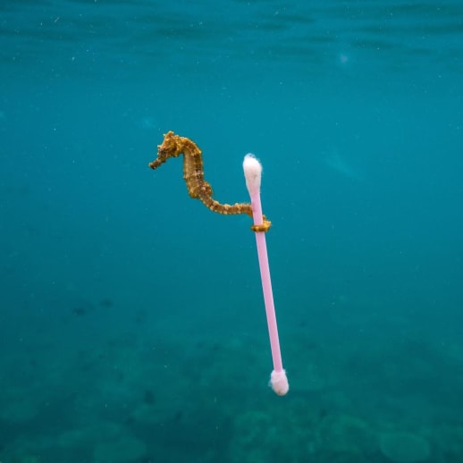 Fünf Alternativen zu Einwegprodukten im Badezimmer