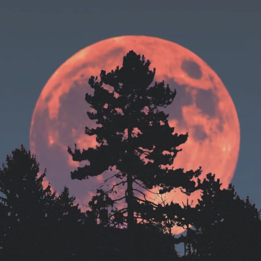 Horoskop vom 19. Mai