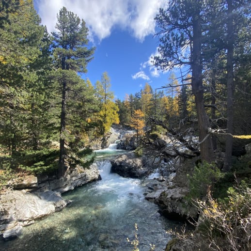 Die fünf schönsten Genuss-Wanderungen in der Schweiz