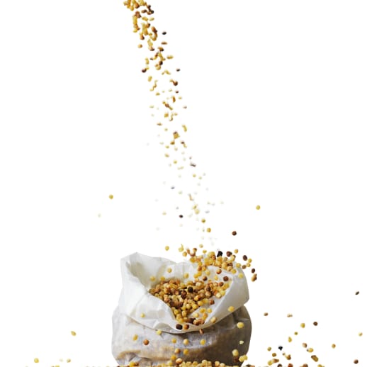 Fregola, die kleinen Pastakügelchen