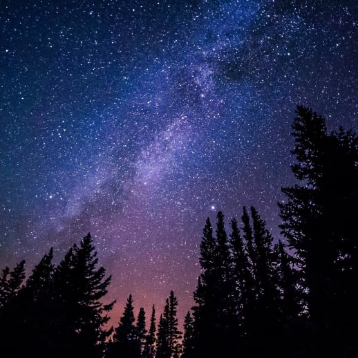 Horoskop vom 29. März