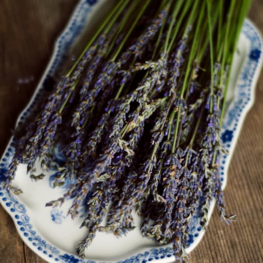 Salbei, Pfefferminze, Lavendel: 9 Gartenkräuter für deine Wellness