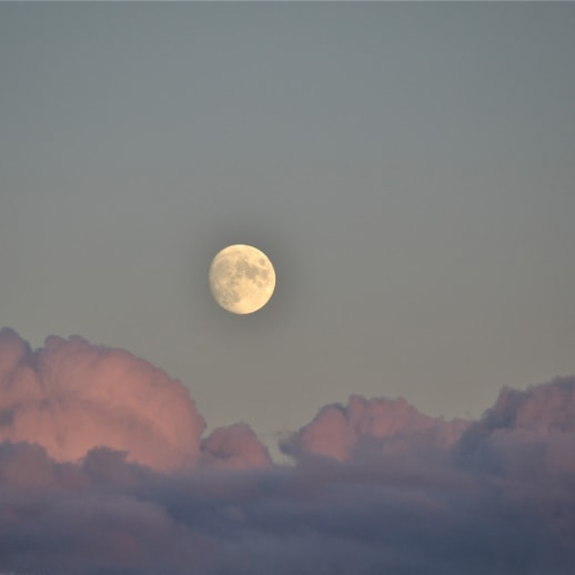 Vollmond im Skorpion: Wilde und sexy Zeiten
