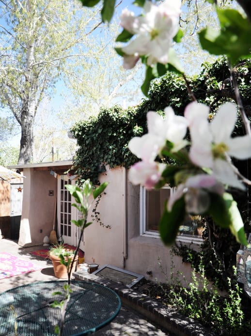 Ausgewandert: Zu Besuch bei Autorin Milena Moser in Santa Fe