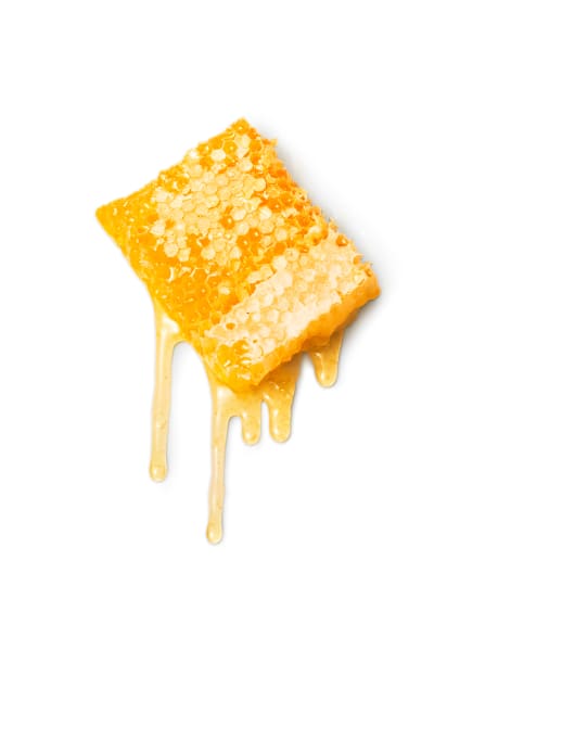 Das süsse Gold: Bienenhonig