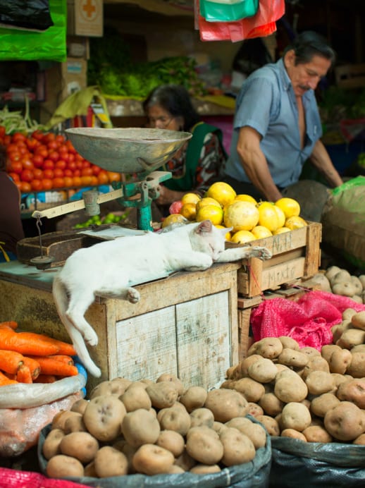 Lima schmeckt prima: Die peruanische Hauptstadt als neue Food-Trendmetropole