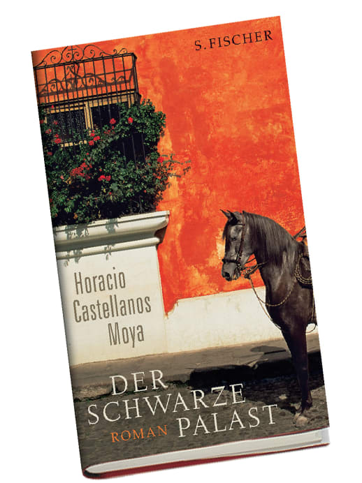 Horacio Castellanos Moya: Leben in der Diktatur