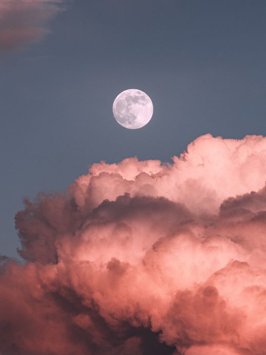Vollmond im Zwilling und Mondfinsternis: Vom Ich ins Wir
