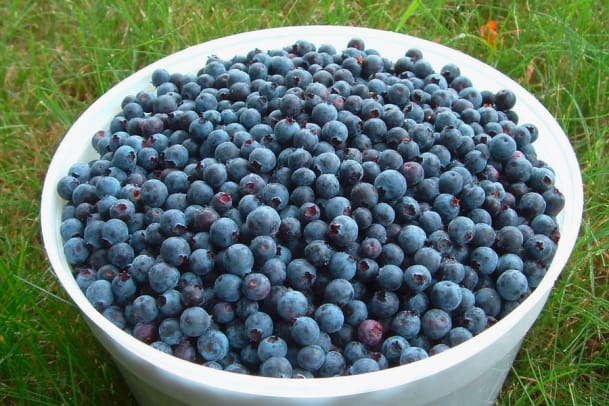 Beauty-Food: Gesunde Lebensmittel für eine strahlende Haut