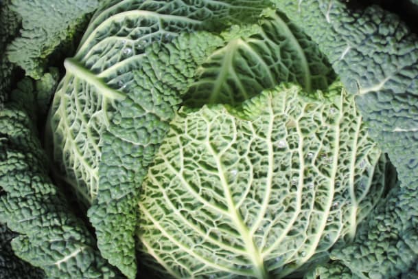 Green Smoothies: Tipps und Fakten von annabelle.eBalance