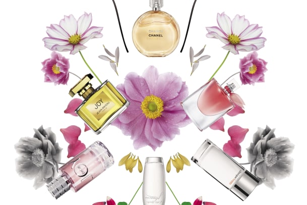 «Parfums sind ein purer Versuch der Manipulation»