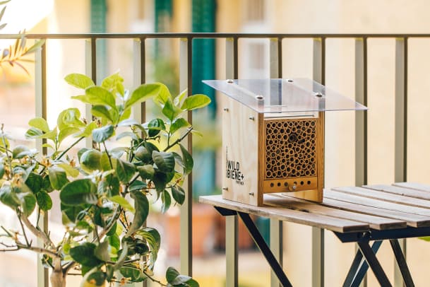 So bringen Sie Vielfalt in den Garten
