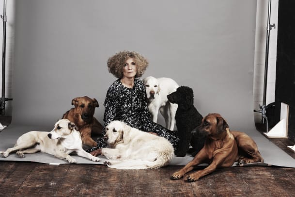 Diese Hunde bekommen keine Leckerli