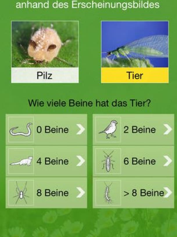 Die 5 Besten Garten Apps Annabelle
