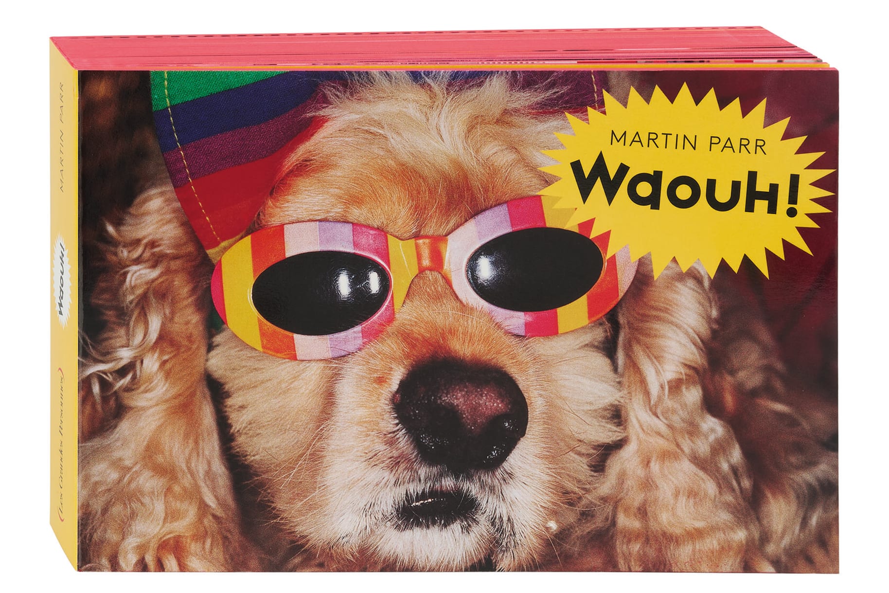 Bildband, Kinderbuch Waouh! von Martin Parr