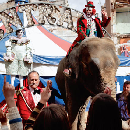 Balada Triste de Trompeta - Mit den Clowns kamen die Tränen