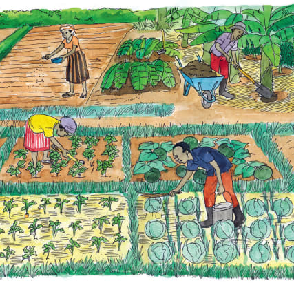 Entwicklungshilfe - Aus gutem Grund