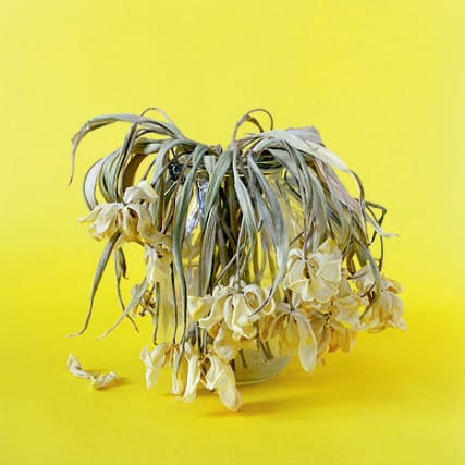 Susanne Kriemann - All die Sachen