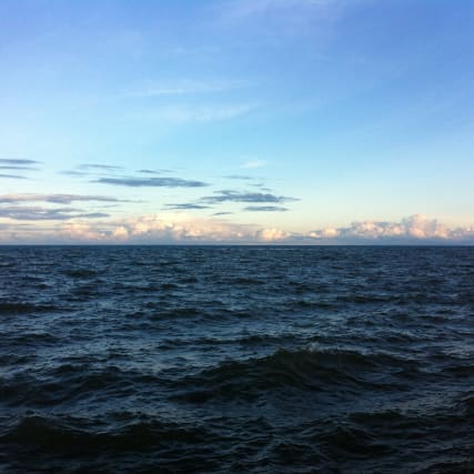 Plüss' Punkte - Unnützes Wissen