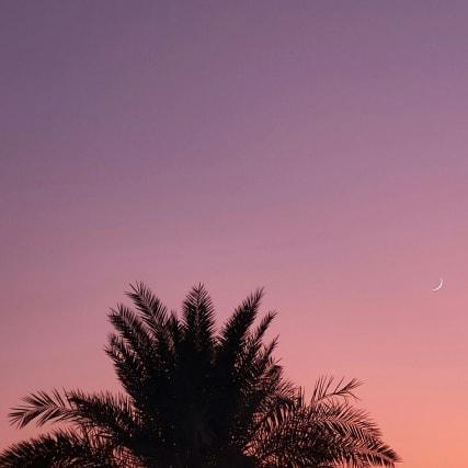 Neumond im Löwen: Eine massive Verdichtung der Energien