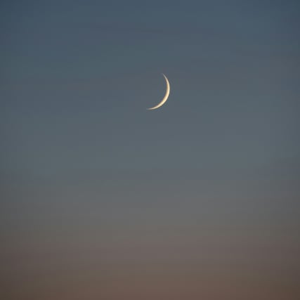 Neumond im Skorpion 2024: Es regnet Erkenntnisse im Stundentakt