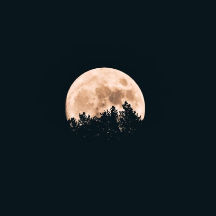 Horoskop vom 4. März